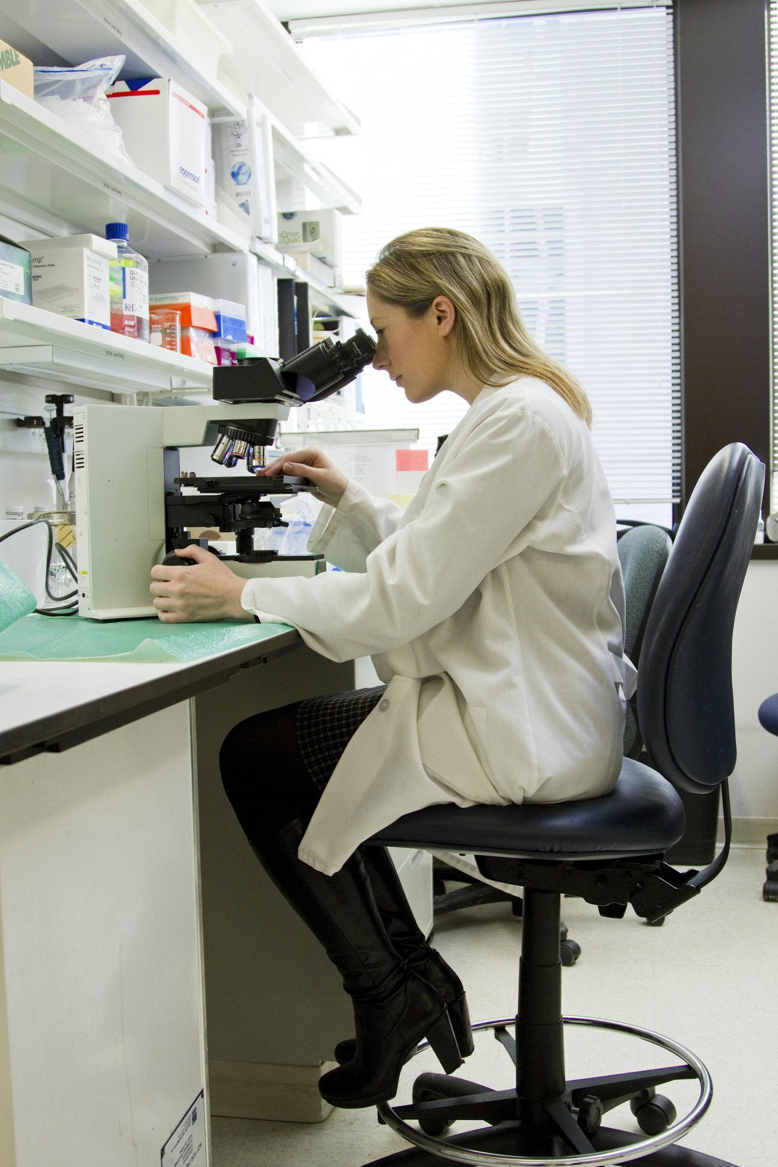 A scientist reviewing financial documents at a desk in a modern biotech office